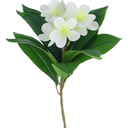 Frangipani Artificial Flowers Decor Living Room Decor Flowers Fake Flower Art Wedding Landscaping Flower Arrangements (Color: White short stick)Pack of 5