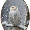 XBBMGG Winter Owl Wall Art Decor, Rustic Winter Bird Oval Wall Hanging Decor, Retro Cottagecore Farmhouse Snowy Owl Framed Canvas Prints for Living Room Bathroom Decorations, 8.6x11.4 inch