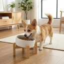 hjn Elevated Ceramic Dog Bowl 15Slanted Raised Dog Bowl with Bamboo Stand for Small Medium Dogs and Cats, Pet Feeder -3.6-Cup (850ml)-White