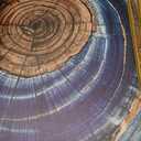 Colorful Tree Rings Framed Canvas Wall Art Set,Abstract Blue and Brown Wood Grain Wall Decor,Nature Modern Annual Ring Texture Artwork for Living Room,Bedroom-24 x36 x3