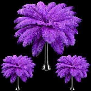 Maitys 90 Pcs Large Natural Ostrich Feathers Bulk 14-16 Inch (35-40cm) 12-14 Inch (30-35cm) 10-12 (25-30cm) Ostrich Feathers Plumes for Centerpieces Wedding (Purple)