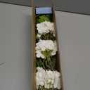 Yastouay 3 Pcs Real Touch Hydrangea Artificial Flowers, 21" White Full Faux Hydrangea Flowers Latex Fake Flowers for Home Decor Party Floral Arrangements Wedding Bouquets Centerpieces Outdoor Decor