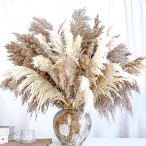 20 PCS Dried Flower, 30-inch Tall Nature Pampas Grass Bouquet Decor - Boho Flowers and Feathers for Centerpieces, Perfect for Tall Floor Vase Fillers, Living Room, and Wedding Decor(White, Natural)