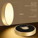 Flush Mount Ceiling Light Fixtures Gold LED Dimmable 5CCT 15 Inch 36W