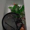 Best Friends Birthday Gifts for Women Unique, Easter Friends Gift Set for Female Long Distance Friendship Gift Idea for Women Her BFF Bestie Sister Gifts - Hummingbird Solar Wind Chimes for Outside