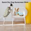 Lightweight Breathable Dog Cooling Shirts, Quick Dry Dog Sunscreen T-Shirt, Professional Pet Summer Vest for Small Medium Large Girl Boy Dogs