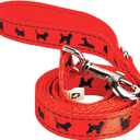 EcoBark Dog Leash - Soft & Reflective Comfort Leashes with Padded Handle - Strong Durable Heavy Duty - Training and Pulling for Small, Medium or Large Dogs (Orange) (4 ft x 1 in - Standard Width)