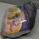 Bioworld T-Rex Adult Inflatable Halloween Costume, Large 