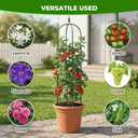 2 Pack Garden Obelisk Trellis for Climbing Plants, 6 FT Metal Rustproof Plant Support Rose Trellis, Tower Potted Cages for Flowers Fruits Vegetable Vines Indoor & Outdoor, Green(4 Tiers)