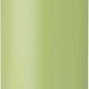 Owala Disney Princess FreeSip Insulated Stainless Steel Water Bottle with Straw for Sports and Travel, BPA-Free Sports Water Bottle, 24 oz, Tiana