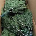 6.2ft Prelit Clear LED String Lights Classic Blue Spruce Artificial Christmas Tree | PVC Needle Foliage | Easy Storage with Storage Bag | Indoor Holiday Display