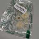 for Galaxy Z Fold 6 Case,Cute Soft Pressed Dry Real Flower Floral Flexible Glitter Slim Women Girl's Protective Phone Cover (Clear)