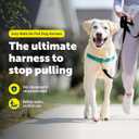PetSafe Easy Walk No-Pull Dog Harness - Ultimate Harness to Help Stop Pulling - Pull-Free Walks - Take Control & Teach Better Leash Manners - Patented Martingale Loop Design - Teal, Large