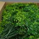 XunYee 28 Pcs Artificial Hanging Plants 32 Inch Plastic Fern Vine Fake Greenery Plant Faux Eucalyptus Vine for Wall Room Wedding Indoor Outdoor Decor, No Baskets (Boston Fern,Greenery,Eucalyptus)