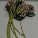 8 Pcs Coffee Brown Hydrangea Artificial Flowers 18 Inch Valentines Faux Hydrangea Flowers with Stems Fake Bouquet Bulk Realistic Floral for Spring Summer Wedding Home Table Indoor Decoration