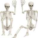 5.4Ft/170cm Posable Halloween Skeleton, Full Body Life Size Skeleton with Movable Joints for Indoor Outdoor Halloween Decorations, Spooky Party Props Decor 1Pcs