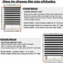Cordless Zebra Blinds for Windows, Free-Stop Pull Down Roller Window Shades with Valance, Light Filtering Dual Layers Sheer Shades for Home and Office, White, 55" W x 72" H
