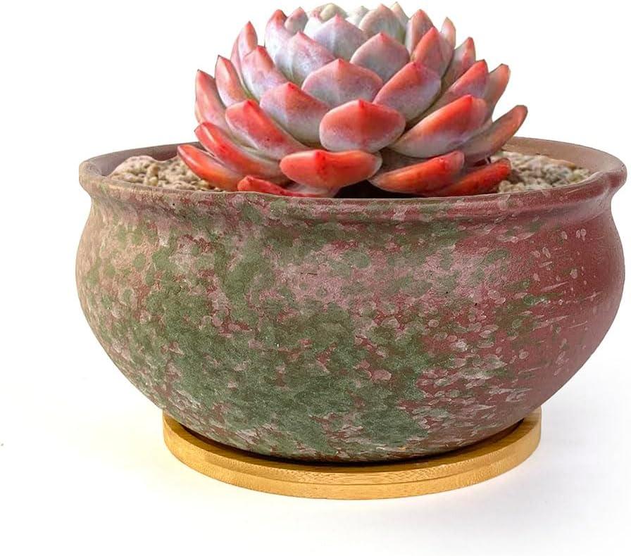 8 Inch Succulent Pot with Drainage and Saucer Glazed Terracotta Round Ceramic Succulent Planter Cactus Bonsai Plant Pot (Pink and Green)