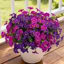 12 Bundles Artificial Flowers for Outdoors,UV Resistant Fake Silk Morning Glory Flowers Faux Plastic Plants for Planter Front Door Window Box Patio Yard Indoor Home Decor (Purple,Fuchsia)