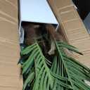 Artificial Palm Tree 7FT, Fake Tree with Realistic Fiber Trunks and White Tall Planter, Faux Tropical Areca Floor Plant in Pot, Artificial Silk Plant for Home Decor Office Decor Indoor (6in)