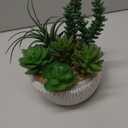 Briful Small Fake Plants Assorted Faux Succulents in Pots Realistic Succulents Plants Artificial with Cement Pots for Home Table Office Desk Bathroom Shelf Living Room Decor