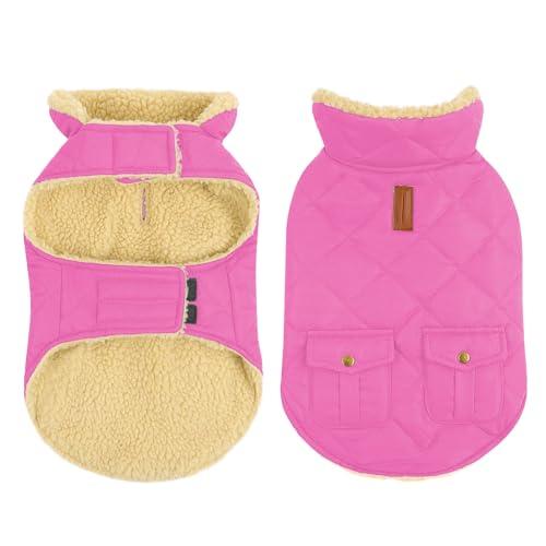 Queenmore Dog Winter Coat - Fleece Jacket, Waterproof Cold Weather Dog Clothes, Thick Warm Cotton Padding, Easy On Storage Pockets (Pink, X-Small)