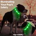 Light Up Dog Collar – Reflective, Adjustable & Rechargeable Electronic Glow Pet Collars – Bright, Comfortable, High Visibility LED Dog Collar for Night Safety, Outdoor Walk, Flashing Fun, Green, Small