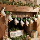 Whaline Silly Goose Felt Banner Pre-Assembled 3D Funny Gooses Green Heart Hanging Garland for One Silly Goose First Birthday Party Mantel Fireplace Wall Decoration
