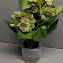 Hollyone Green Hydrangea Artificial Flowers in Pots 19.7" Four-Head Faux Silk Hydranges Flower Arrangements for Indoor Home Office Kitchen Table Centerpieces Wedding Decorations