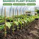 Plant Stakes Natural Bamboo Sticks - 25 Pcs Bamboo Garden Stakes for Plants 3 FT Plant Support Sticks with Twist Ties for Tomatoes Beans Orchid Flowers Indoor Outdoor Potted Climbing Plants