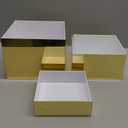 3Pcs Golden Acrylic Nesting Riser Stands for Display, Mirror Gold Acrylic Stereoscopic Cube Box Rack for Home Party Wedding Table Cover Centerpieces Craft Supplies, 8x8x6in, 7x7x4in, 6x6x2in