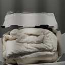 EVERGRACE Luxury Pearl Velvet Quilt Set Queen Size 3 Pieces, Soft Paisley-Stitch Velvet Comforter Set with Pillow Shams, Lightweight Bedspread Coverlet Bedding Set, Cream (Subtle Yellow Hues) (Full/Queen (90" x 92"))