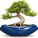 Bonsai Pots - 18 Inch Large Ceramic Succulent Pots for Indoor Outdoor, Bonsai Planter with Drainage Hole, Ceramic Flower Pot, Decorative Plant Pot, Gifts for Plant Lovers, Office Decor, Blue