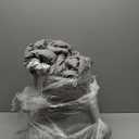 Dinjoy Queen Comforter Set - 5 Pieces Floral Comforter Set Grey, Bed in a Bag Queen with Botanical Print, Winter Soft Comforter Bedding Set with Sheets (Comforter 90"x90")