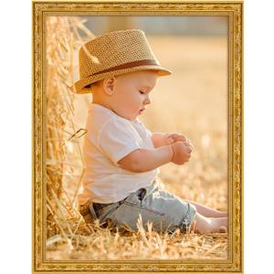 18x24 Ornate Gold Wood Frame, 24x18in Floral Picture Frames, 18 x 24inch Gallery Photo Pic Display with HD Plexiglass, 1.4in Widen 1in Thick, Horizontal Vertical Wall Display