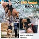 rabbitgoo Escape Proof Dog Harness for X-Large, No Pull with Lift Handle
