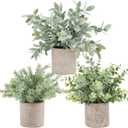 Der Rose 3 Pack Mini Potted Fake Plants Artificial Plastic Eucalyptus Plants Topiaries for Home Office Desk Farmhouse Shelf Room Bathroom Decor(Sage Green)