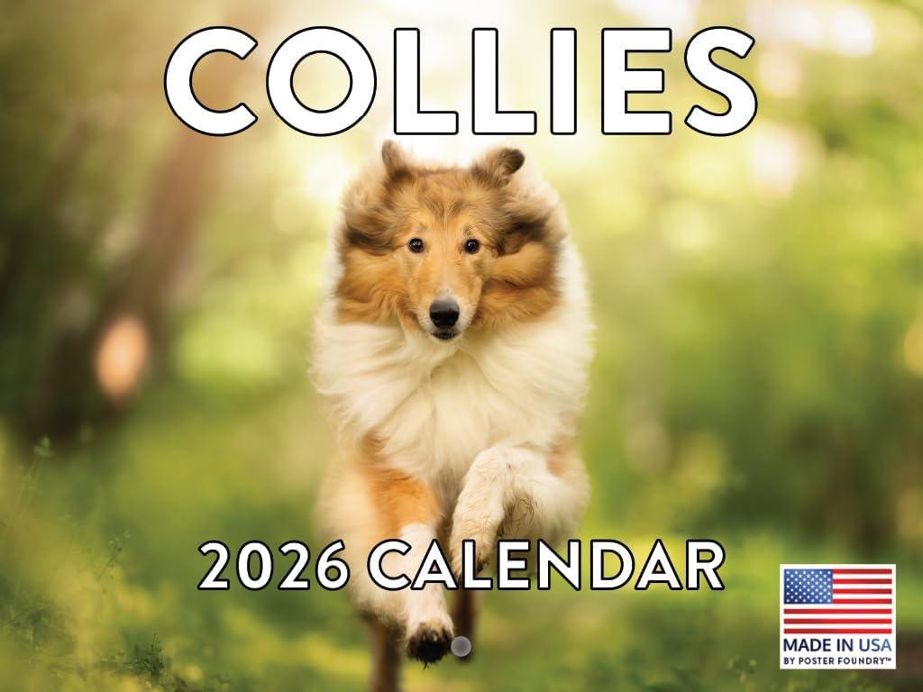 Collie Calendar 2026 Monthly Wall Calender | American Made In The USA