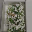 Ling's Moment Boutonniere for Men, 10pcs Groomsmen Guest Boutonniere with Built-in Pins, Artificial Flowers for Wedding Dcor/Prom/Homecoming,etc.Baby Breath White