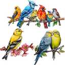 YOADEHOA Metal Wall Art Decor Birds on Branch, 3D Colorful Bird Outdoor Hanging Wall Art Patio Fence Decorations, Hummingbird Wall Sculptures for Indoor Outdoor Garden (Birds C)