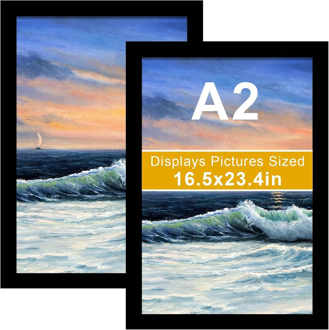 LUCKYLIFE 16.5x23.4 Frame in Black, Gallery Frame for Wall Mounting, 2 Pack