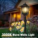63" Solar Lamp Post Light 2 Pack, Solar Light Posts for Outside Waterproof, Outdoor Lamps for Patio, Backyard, Front Porch Decor, Warm White, Replaceable Bulb