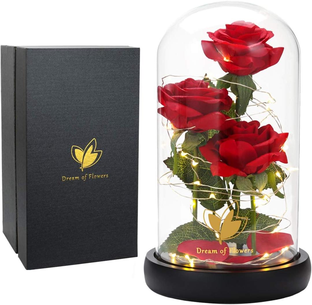 Valentines Day Gifts for Her, Beauty and The Beast Rose in Glass Dome, Anniversary Rose Gifts for Wife, Valentines Flowers Birthday Gifts for Women, Romantic Red Silk Rose Flower Gifts for Women