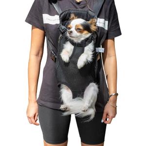 Mr. Pen- Pet Carrier Backpack, Weighing Up to 12 lbs, Adjustable Dog Carrier Backpacks, Dog Backpack Carrier for Small Dogs, Dog Front Carrier