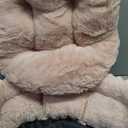 BALANCE Cat Bed Kitten Bed, Washable Round Cat Beds for Indoor Cats,Super Soft Plush Faux Fur Pet Bed for Puppy and Kitten with Anti-Slip Bottom (20.0"L x 20.0"W x 8"Th)