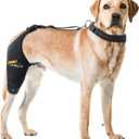 Dog Knee Brace for Torn ACL Hind Leg, Hot/Cold Compress for Patella Dislocation or Osteoarthritis, Cruciate Ligament Injuries,Patent Pending(Right Leg,M)