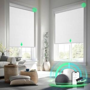 Smart Window Roller Shade