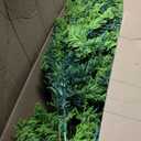 6.5ft Green Flocked Hinged Artificial Christmas Tree w/Metal Stand Green