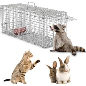 Humane Animal Trap, 30.5"x11.8"x11" Foldable Large Live Cage Traps for for Raccoons Beavers Groundhogs Foxes Armadillos and Other Live Animals, Easy to Catch and Release, Work for Indoor Outdoor