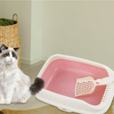 Cat Litter Box Open Top Kitty Litter Box Tray Potty Toilet for Small Medium Cats 16x11 inch 6Pack